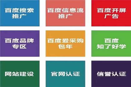 案例研究：百度竞价广告投放效果